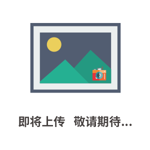 雪橇式轴流泵